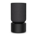 Bang & Olufsen BeoSound Balance Black Oak