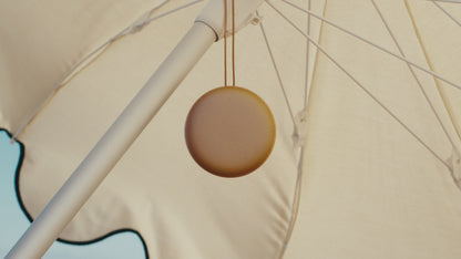 Beosound A1 3rd Generation